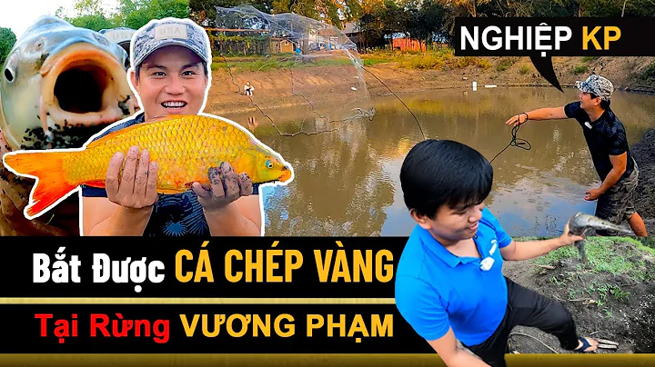 Nghiep Vuong Photo 5