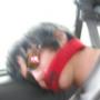 Chad Stoddard Photo 14