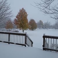 Denise Stumpenhorst Photo 1