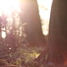 Craig Goode Photo 33