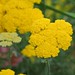 Thomas Motes Photo 24