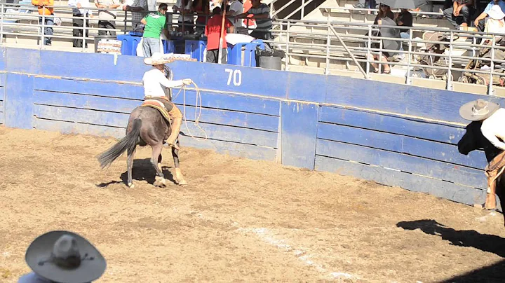 Manuel Guitron Photo 7