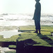 India Moss Photo 22