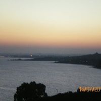 Michele Farris Photo 4