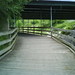 Ernest Mills Photo 30