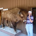 Harold Walls Photo 35