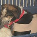 Wilma Ashley Photo 23