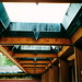 Allen Friedman Photo 39
