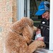 Kathy Cooper Photo 45