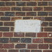 Joseph Buckler Photo 23