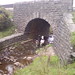 Debbie Bridges Photo 35