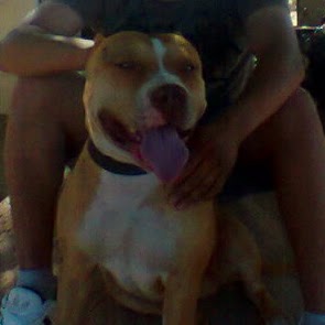 Armando Tapia Photo 14
