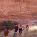 Deborah Grinnell Photo 23
