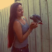 Alex Tellez Photo 7