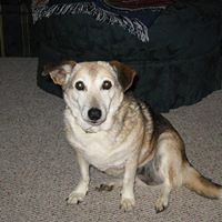 Judy Garris Photo 2