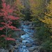 Marcy Fuller Photo 31