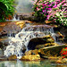 Scott Haller Photo 39