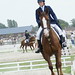 Jerome Galant Photo 12