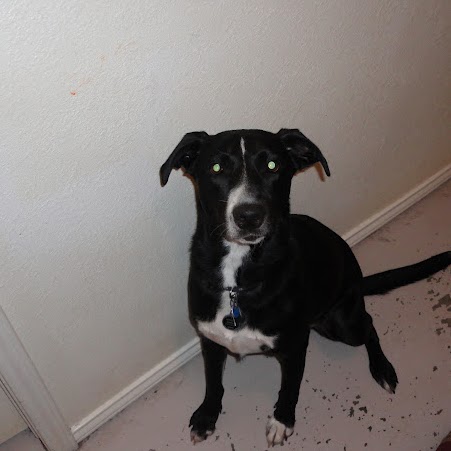 Jeanette Garza Photo 15