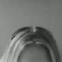 Wendy Whipple Photo 21