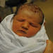 Susan Mcphee Photo 27