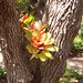 Danielle Talbott Photo 21