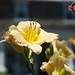 Beth Meade Photo 36