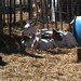 Catherine Farnsworth Photo 13