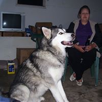 Margaret Mcnab Photo 5