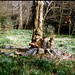Gary Haydon Photo 14