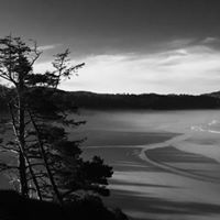 Craig Gillespie Photo 6