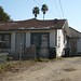 Linda Downs Photo 42