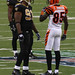 Sean Palmer Photo 38