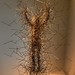 Nicholas Corcoran Photo 28
