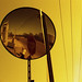 Nathaniel Powers Photo 37