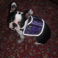 Kathleen Wells Photo 7