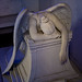 Mark Hyman Photo 47