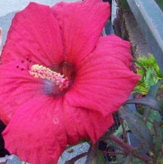 Lori Bruce Photo 10