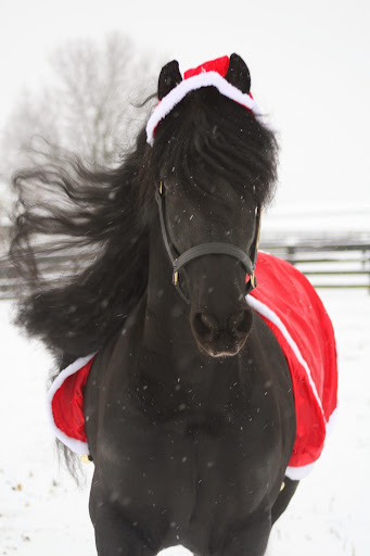 Jennifer Hazen Photo 11