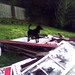 Paul Kilgore Photo 47