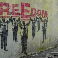 Steven Freedman Photo 5