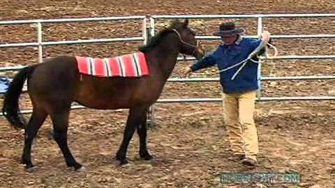 Pat Hooks Photo 16