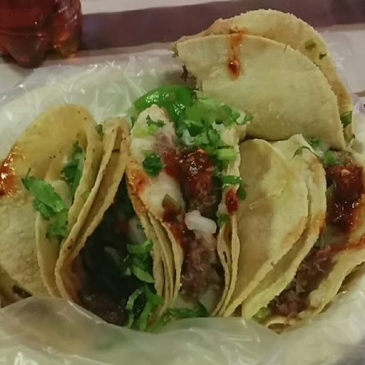Berenice Munoz Photo 14