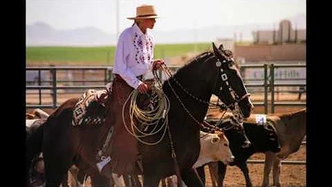 Bruce Sandifer Photo 15