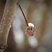 Gary Moody Photo 40