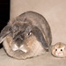 Don Cheek Photo 34
