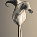 Nick Callas Photo 19