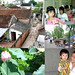 Que Ngo Photo 29