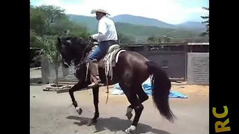 Ricardo Cornejo Photo 30