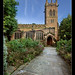 Mary Hills Photo 37